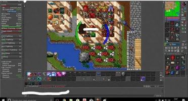 Char MS 313 Descubra