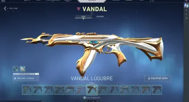 conta valorant muita skin