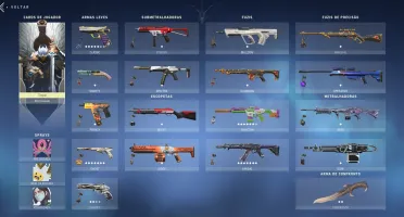Conta Valorant Ouro 2 + R$750 gastos em skins + Passe.