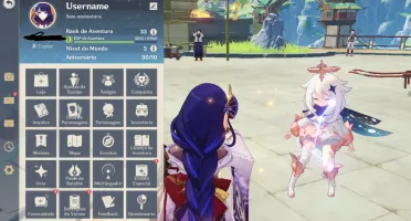 AR 33 - Raiden C1 + Assinatura - Genshin Impact