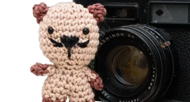 Mini Gato Amigurumi