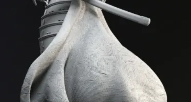 Samurai Wonder Woman Impresión 3D stl
