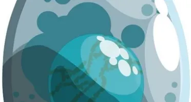 Dofus Turquesa 11 A 20 CC (spiritia)