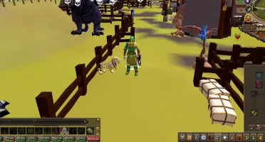 CONTA RuneScape 3 TTL 2879+