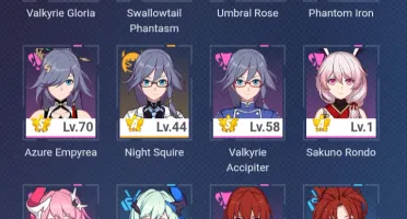 Conta meta hsr Blade,castorice,jingliu,Robin,rin tohsaka