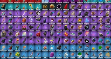 198 Skins The Reaper OG STW Gold Midas Max Omega Rogue Agent