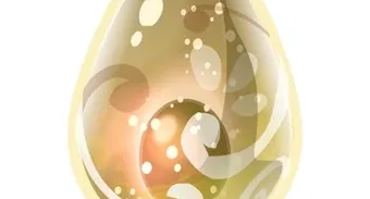 Dofus Marfim - Servidor Crocabulia - Pronta Entrega.