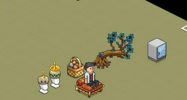 Conta Habbo 2015, pet com 2080 dias, 20 emblemas