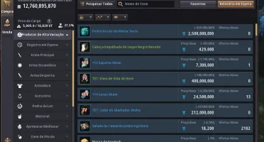 BDO Zerker 691GS - PEGASUS- POT DE MANA E LIFE INIFINIT