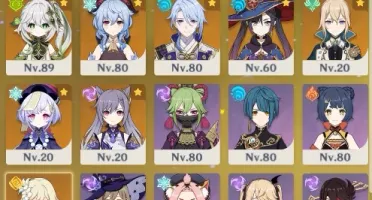 ZHONGLI GANYU AYATO NAHIDA CYNO WANDERER
