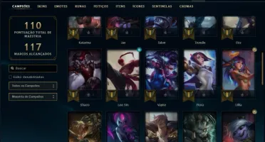 Conta bronze 2 com 14 skins e 48 champs
