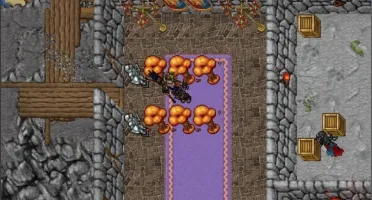 Servidor De Tibia Global Versão 10.00~11.86 C/S Site+Sources