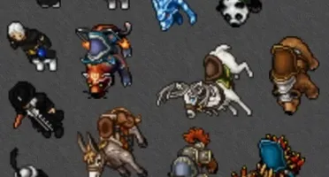 KNIGHT 250 EM CALMERA - OPTIONAL PVP (VALOR A NEGOCIAR)