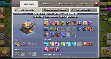Conta COC cv 11