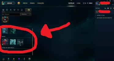 Conta borda Prata com 49 campeões e 8 skins