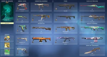 Conta valorant D2 e skins