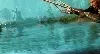 Bot Pesca - New World (2023) 100% Funcional
