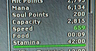 Sorcerer 530 magic level 115 na barra no site 116 gentebra