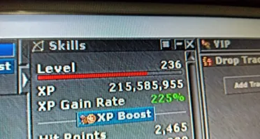 Sorcerer 530 magic level 115 na barra no site 116 gentebra