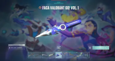 Conta Valorant (Vandal Champions 2021)