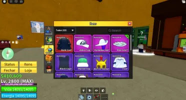 Conta de Blox Fruits (Lvl 2800, fruit storage max 3 etc)