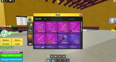 Conta de Blox Fruits (Lvl 2800, fruit storage max 3 etc)