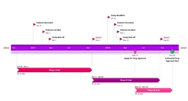 Office Timeline Plus Pro Edition + Crack
