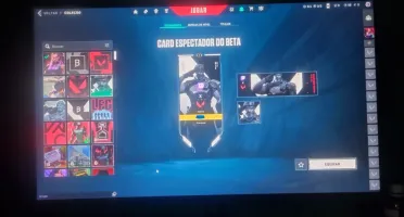 Contas Valorant Com Itens Do Beta