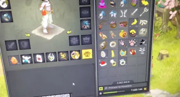 CONTA DOFUS TOP- SACRIER 200