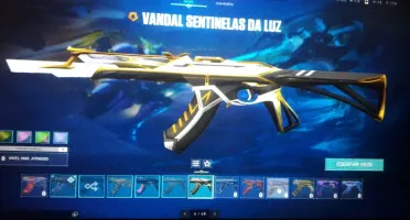 Conta Valorant Com Skins (Level 80+)