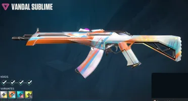 continha de valorant com algumas skins , valor de desapego