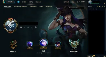 Conta Platina V