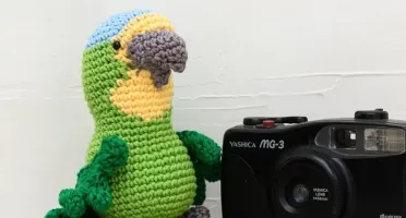 Papagaio Médio em Amigurumi