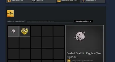 Conta Steam com CS GO Prime Águia
