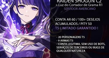 Conta AR60 Raiden Shogun C2+BIS | 20 T5 | 9 armas T5 e +