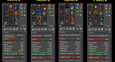 DRUID LEVEL 268 + SORC 187 ÓTIMOS SKILLS