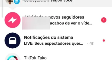 🔥 Conta Tiktok 44K Seguidores + Tiktok Shop Ativo 🔥