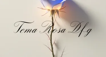 Tema Rosa para o site DFG (VISUAL)