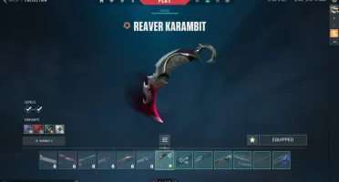 Conta valorant com várias skins