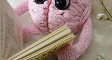 Amigurumi Cérebro