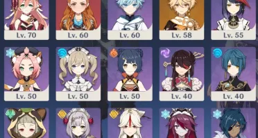 AR 48 SHOGUN C1 + DILUC + KOKOMI + MONA E ALOY