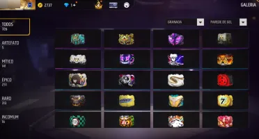 Conta Ff Nível 70