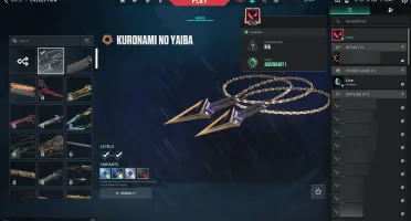 conta de valorant