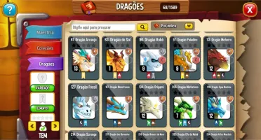 Continha top de dragon
