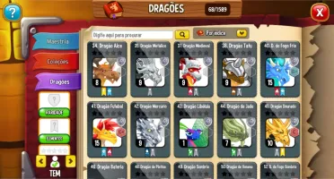 Continha top de dragon