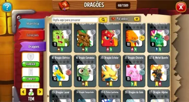 Continha top de dragon
