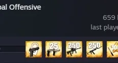 CONTA STEAM - CSGO PRIME - RANK GLOBAL - MEDALHA 5 ANOS