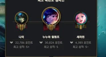 Acc Mestre 39 Pdl Flex