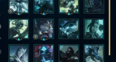 Acc Mestre 39 Pdl Flex