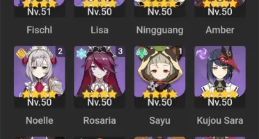 CONTA GENSHIN 10 PERS 5*
